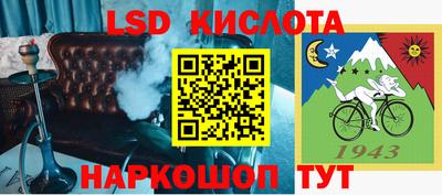 ECSTASY Камышлов