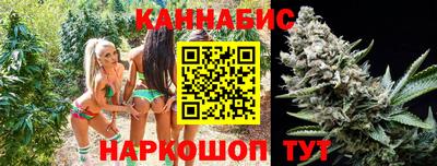 ECSTASY Камышлов