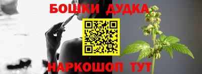 ECSTASY Камышлов