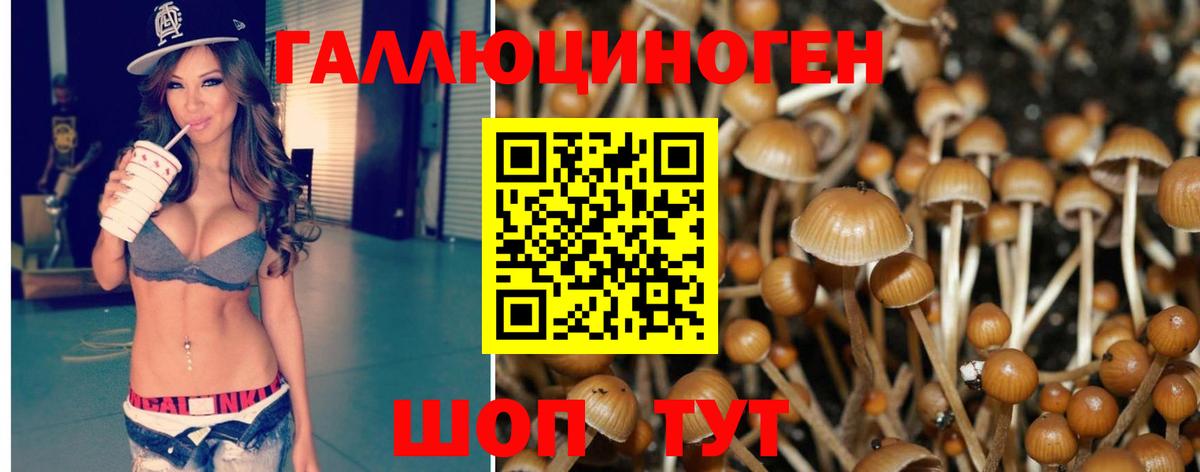 Галлюциногенные грибы GOLDEN TEACHER  Вход с VPN  Усинск 